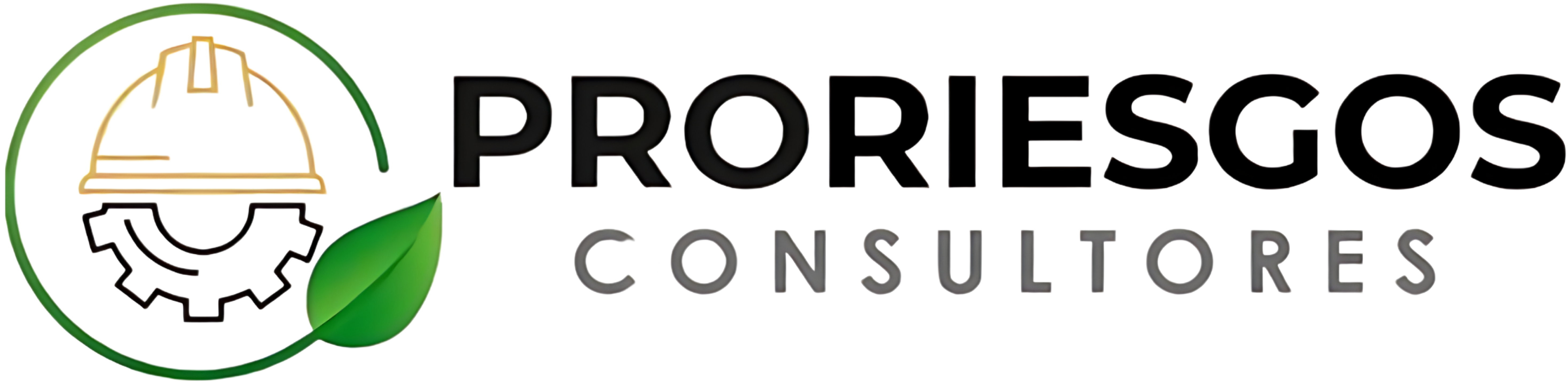 Pro Riesgos Consultores